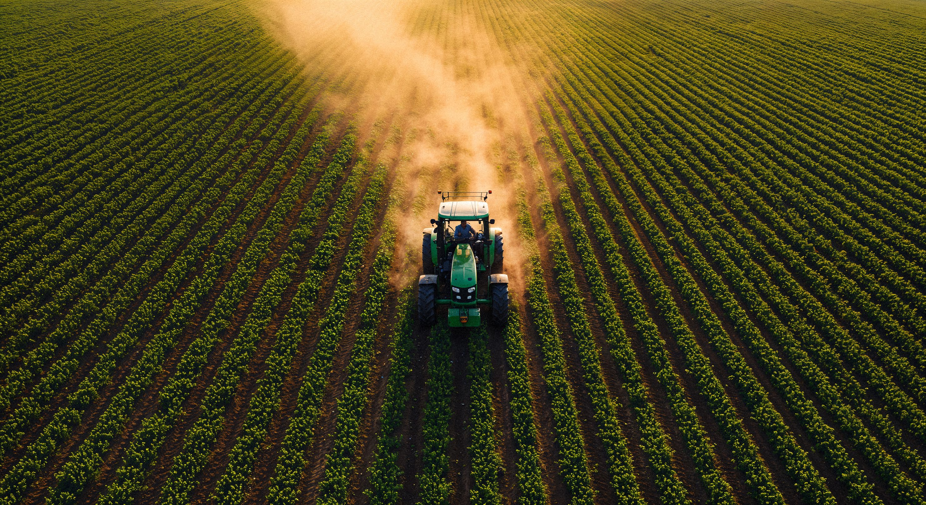 Tractor working an Argentine field